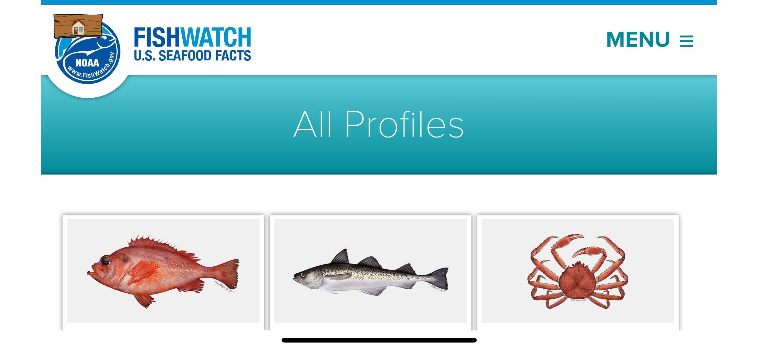 Catch log was connected to the FishWatch API to pull fish names and facts upon a successful catch and reel.